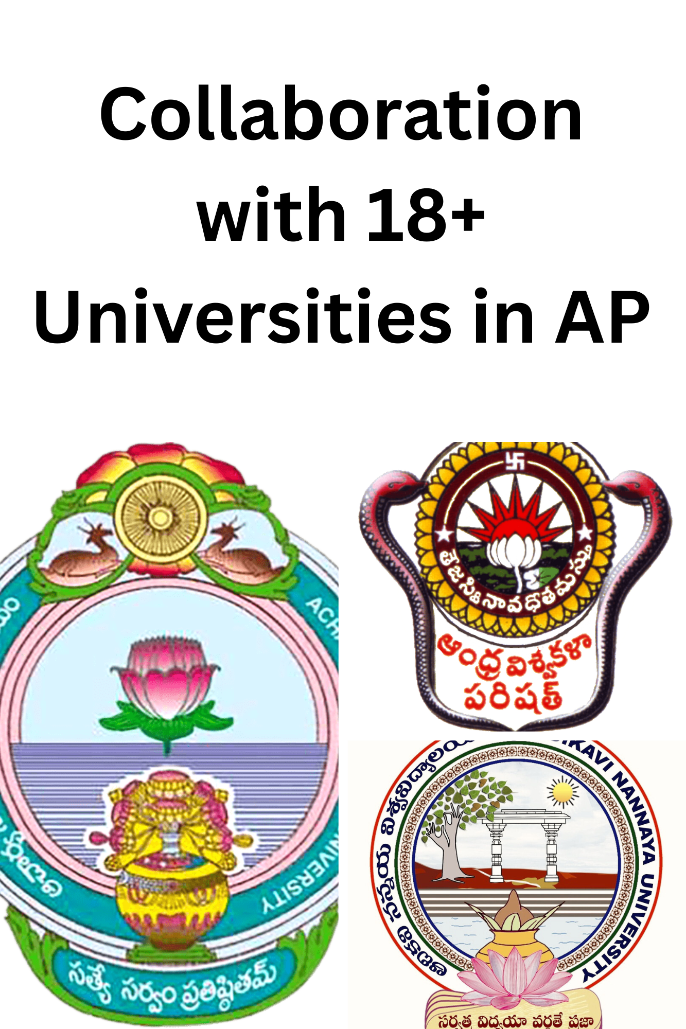 18+ Universities